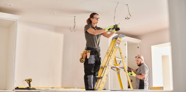 Best Electrical System Inspection  in Pinckney, MI
