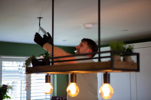 Best Affordable Emergency Electrician  in Pinckney, MI