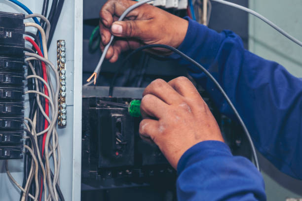 Best 24-Hour Electrician  in Pinckney, MI