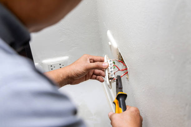 Best Emergency Electrical Repair  in Pinckney, MI