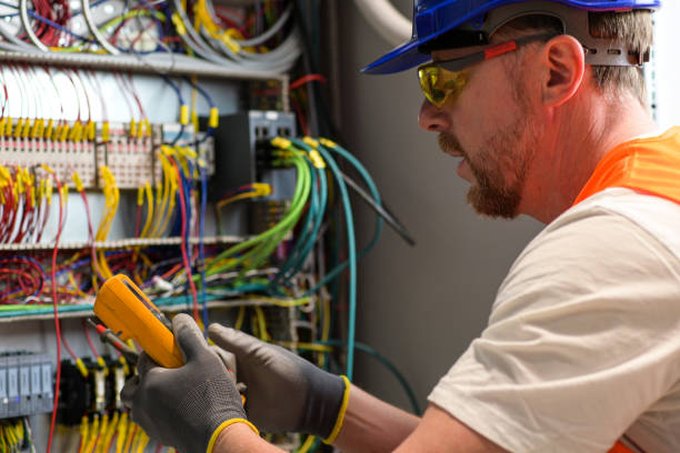 Best Electrician for Home Renovation  in Pinckney, MI